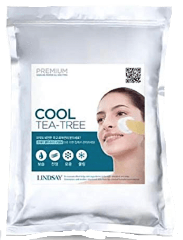 Lindsay Cooling Modeling Mask